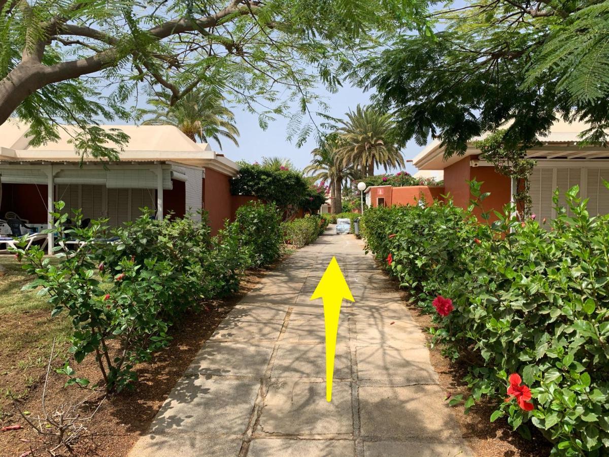 Flamboyant Tree Garden Holiday Home Maspalomas  Exterior foto